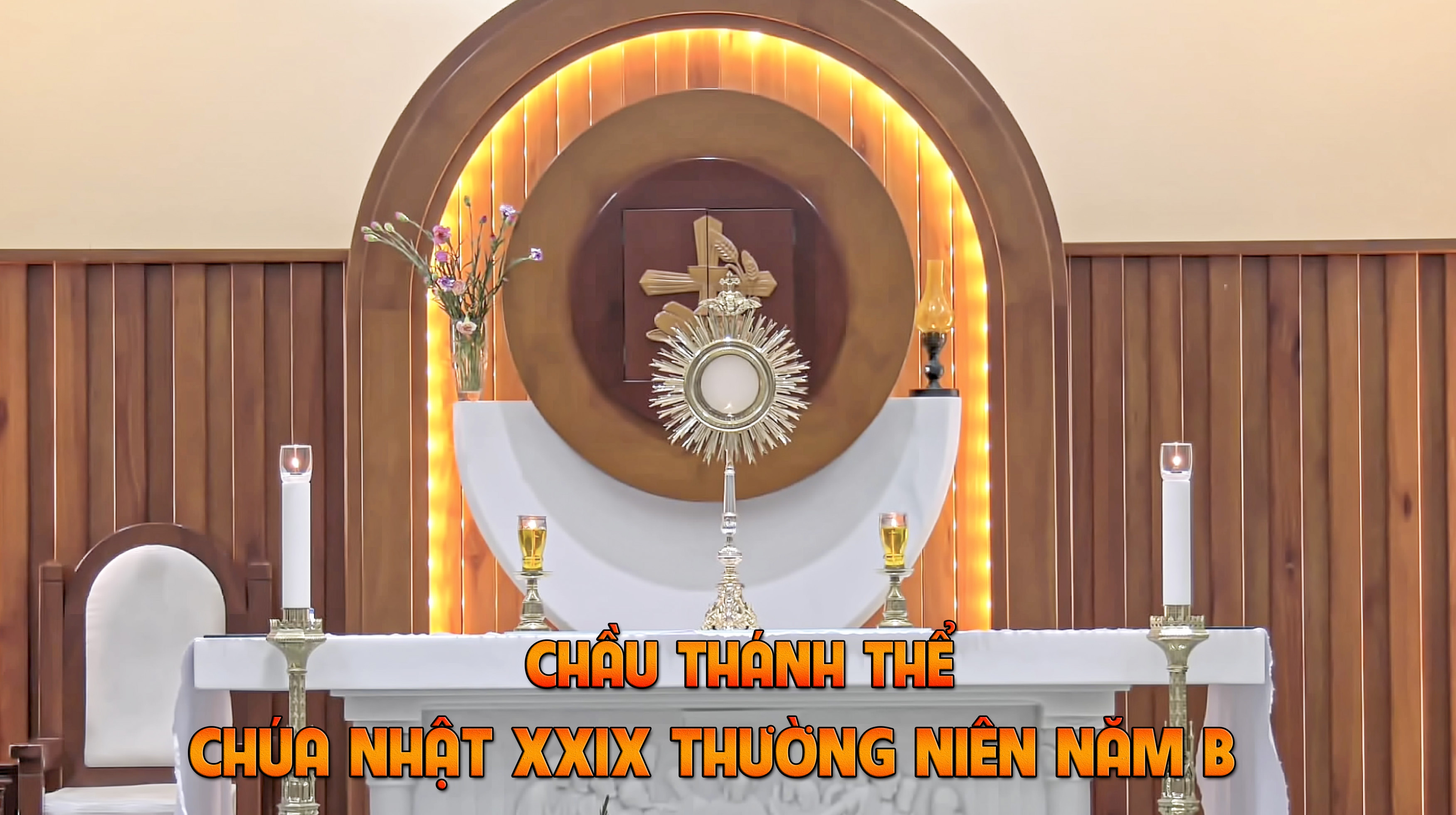 Chầu Thánh Thể - Chúa Nhật XXIX Thường Niên Năm B